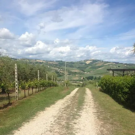 La Casa Gialla * Montalto delle Marche